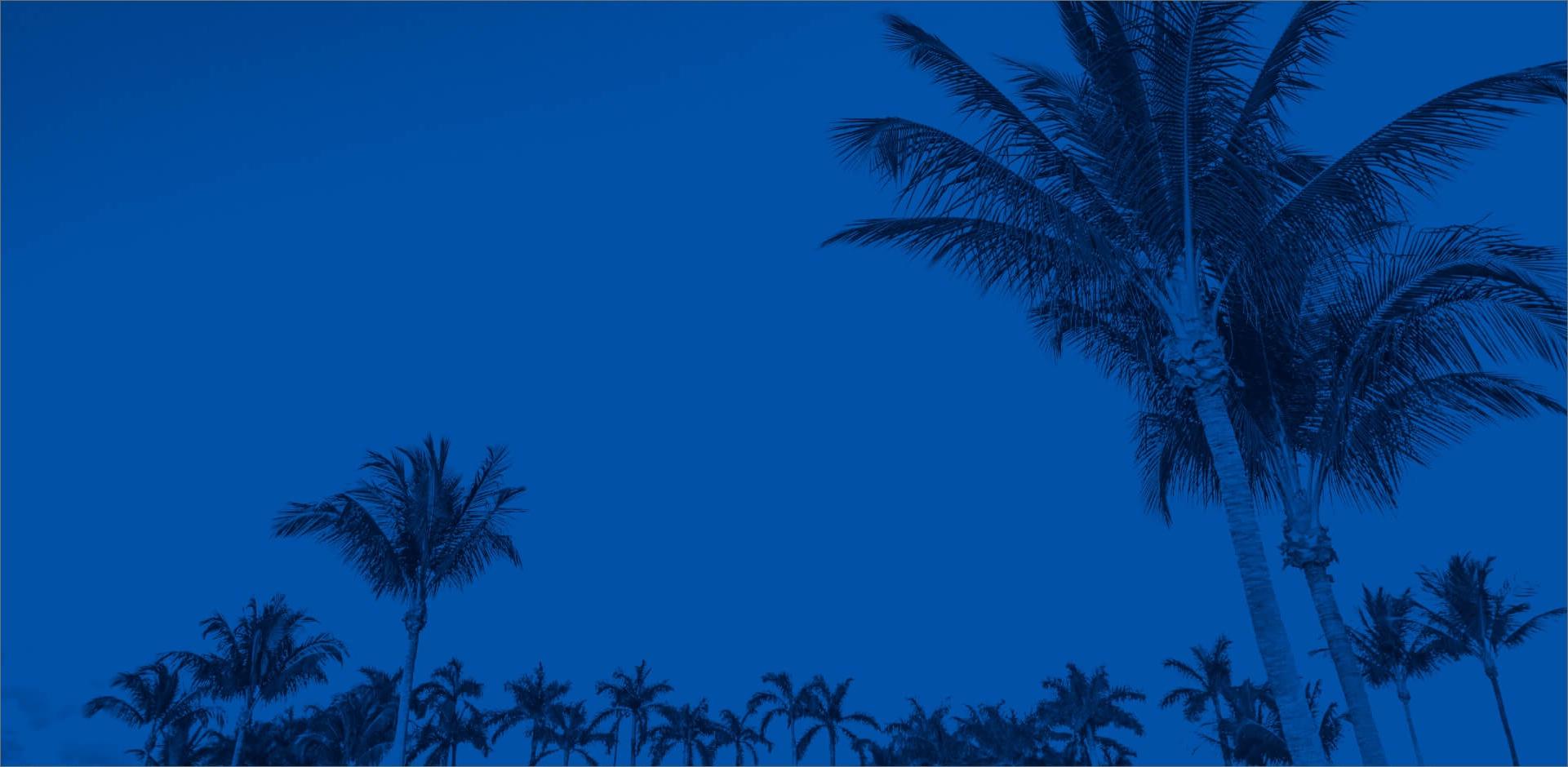 Palm trees under the sky with a blue tint overlay